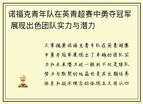 诺福克青年队在英青超赛中勇夺冠军 展现出色团队实力与潜力
